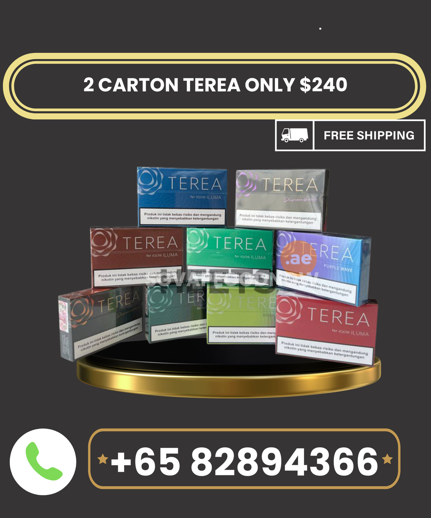 2 CARTON TEREA BUNDLE
